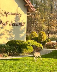 Billede fra billedgalleriet på ApartamentyKudowa - Willa Pod Dębami z ogrodem i parkingiem, i Kudowa-Zdrój