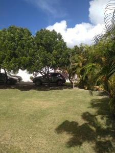 Ein Auto, das in einem Park mit Bäumen und Gras geparkt ist. in der Unterkunft C'VAR Community Vacation Apartment Rentals in Saint Michael