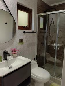 een badkamer met een douche, een toilet en een wastafel bij Cabañas Los Volcanes Ensenada Puerto Varas in La Ensenada