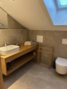 a bathroom with a sink and a toilet at Landhaus Sonnenwang in Pfronten +66 photos