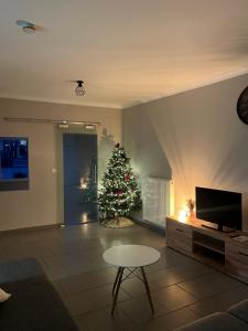 a living room with a christmas tree and a television at Aurelia in Zemst
