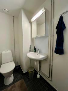 a bathroom with a toilet and a sink and a shower at Modern studio apartment with free parking in Kuopio