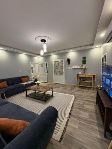 Et tv og/eller underholdning på شقه خاصه