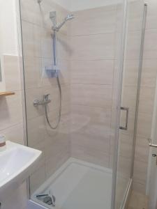 a shower with a glass door next to a sink at ST4 Apartment in Triberg