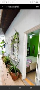 a room with a bunch of potted plants against a wall at Hostelval Cantinho praia do sossego in Praia Grande