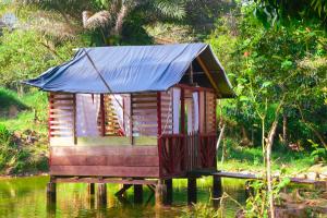 Naturlandskabet i nærheden af pensionatet + 45 billeder