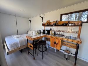 een keuken met een wastafel en een bed in een kamer bij Nomade Balmaceda in Coihaique