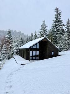 a cabin in the snow with snow covered trees at Cottages Shepit Lisu New in Myta +8 photos