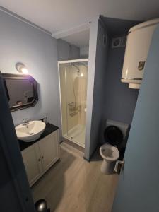 een badkamer met een toilet, een wastafel en een douche bij La Mésange Apprivoisée in Membre