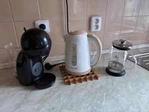 ein Mixer und eine Kaffeemaschine auf einer Küchentheke in der Unterkunft Karlov pod Pradědem Apartmány Orbit in Karlov + 6 Fotos