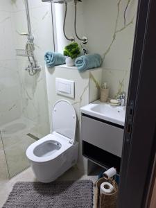 a bathroom with a toilet and a sink and a shower at Vikvid in Kopaonik +17 photos