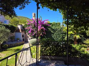 Zahrada ubytování Villa Franca - with private garden, near beach