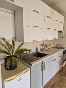 Køkken eller tekøkken på Apartament Ruczaj + 6 billeder