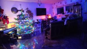soggiorno con albero di Natale di Pokoje Aleksander a Szczyrk