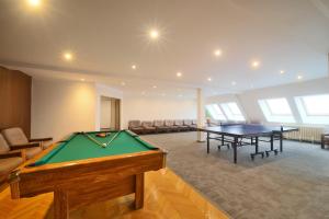 Bàn bi-da tại Aparthotel Žalý