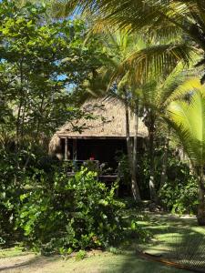 En have udenfor Playa Pikua Ecolodge