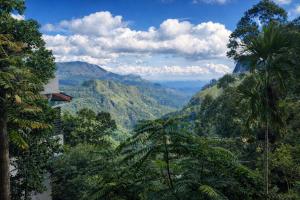 a view of a mountain valley with palm trees at Amado Homestay Ella in Ella