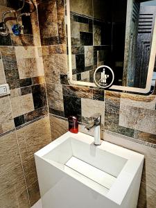 een badkamer met een witte wastafel en een spiegel bij Pyrs Giza Heaven in Caïro +28 foto's