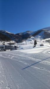 Villa in Bakuriani v zimě