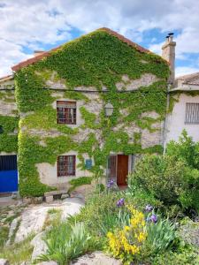 an old stone house with ivy growing on it at Navas de Lema in Las Navas de Buitrago