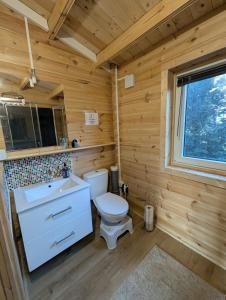 ein Blockhausbad mit Toilette und Waschbecken in der Unterkunft Chalet lohr in Lohr