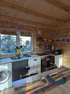 eine Küche mit einem Waschbecken und einem Tisch in einer Hütte in der Unterkunft Chalet lohr in Lohr