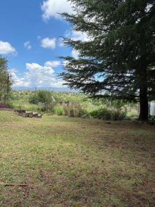 a park with a tree and a grass field at Casa Q a 5km del centro de Villa Carlos Paz in Villa Santa Cruz del Lago +7 photos