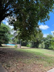 a park with a tree and a swimming pool at Casa Q a 5km del centro de Villa Carlos Paz in Villa Santa Cruz del Lago