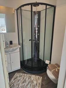 een douche in een badkamer met toilet en wastafel bij AB Studio in Roubaix
