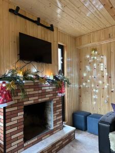a living room with a fireplace with a tv and a christmas tree at Cottage inn Tsemi in Tsemi