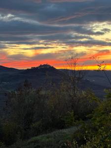 Naturlandskabet i nærheden af feriehuset