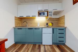 Kuchyň nebo kuchyňský kout v ubytování Apartmán Harmónia, Bardejovské kúpele