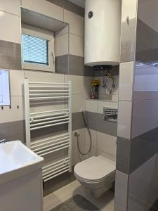 een badkamer met toilet en wastafel bij Chata Kubko in Bobrovník +34 foto's