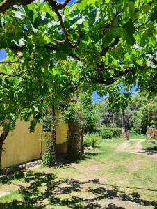 Billede fra billedgalleriet på Casa Los Naranjos i La Paz + 12 billeder