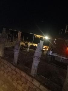 a group of columns in a yard at night at Bella Sina Camp in Wāsiţ