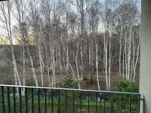 Billede fra billedgalleriet på Relax Mode Apartment i Palanga + 3 billeder