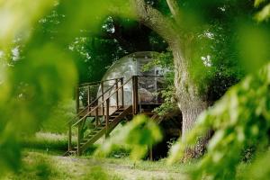 ein Iglu mitten in einem Baum in der Unterkunft les bulles perchées de lartigue in Margouët-Meymès