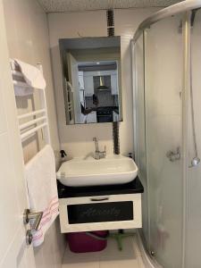 a bathroom with a sink and a shower at Flat in Samsun atakum in Atakum