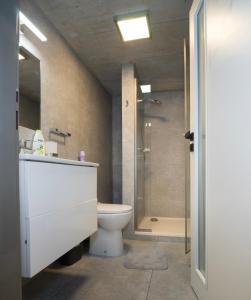 een badkamer met een toilet en een douche bij Apartment Brno-Lesná  +4 foto's