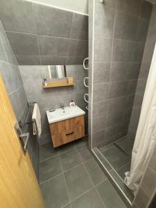 Koupelna v ubytování Apartmány Růže + 67 fotografií