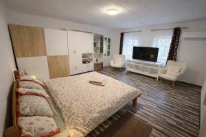 TV a/nebo společenská místnost v ubytování La Casa De Nido-Tágas családias apartman 6 főig, kerttel