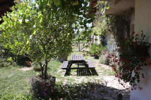 une table de pique-nique au milieu d'un jardin dans l'établissement Cascina Zan, à Paroldo