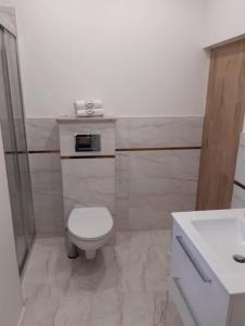 ein Badezimmer mit Toilette und Waschbecken in der Unterkunft Apartament w Czarnowąsach 3 in Oppeln