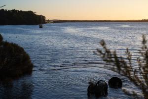 Naturlandskabet i nærheden af motellet