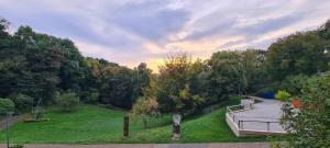 Een luchtfoto van een tuin met een terras en een hellingbaan. bij Ferienwohnung Nideggen in Nideggen