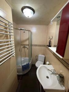 a bathroom with a sink and a shower and a toilet at Sadyba u Halyny Sunrise in Bukovel