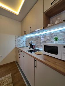 een keuken met een magnetron en een spoelbak bij Panoramic Nest in Vrnjačka Banja +24 foto's