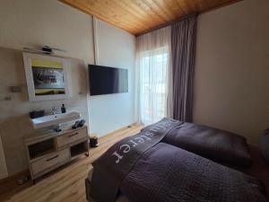 TV a/nebo společenská místnost v ubytování Ferienhaus DaPfusterer