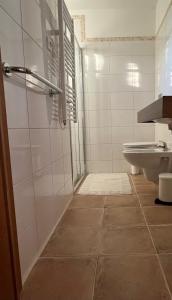a bathroom with a shower and a toilet at 4borovice in Velká Lečice