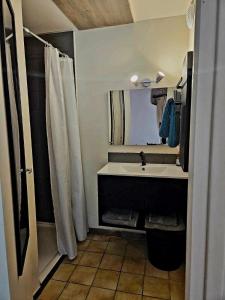 ein Badezimmer mit Waschbecken und Duschvorhang in der Unterkunft Gîte CosyCool in Languidic